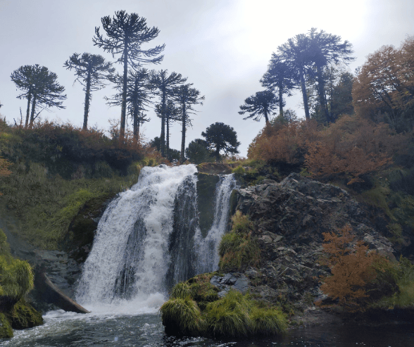 Cascada Tiriento Tour China Muerta - Icalma